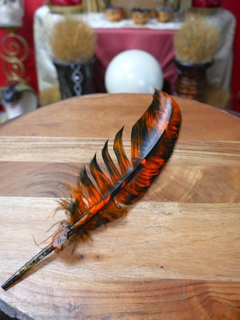 Smudging Smokey Orange Feather