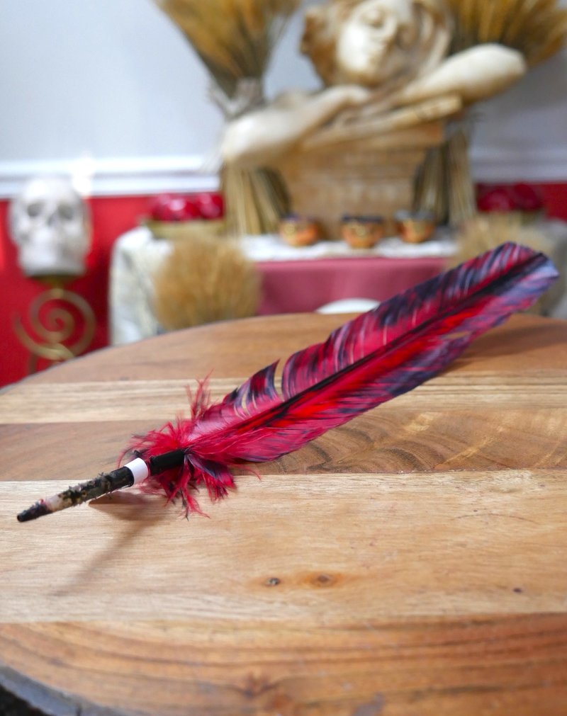 Smudging Smokey Red Feather