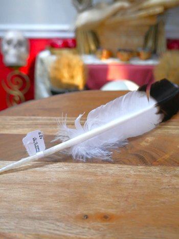 Smudging Eagle Feather