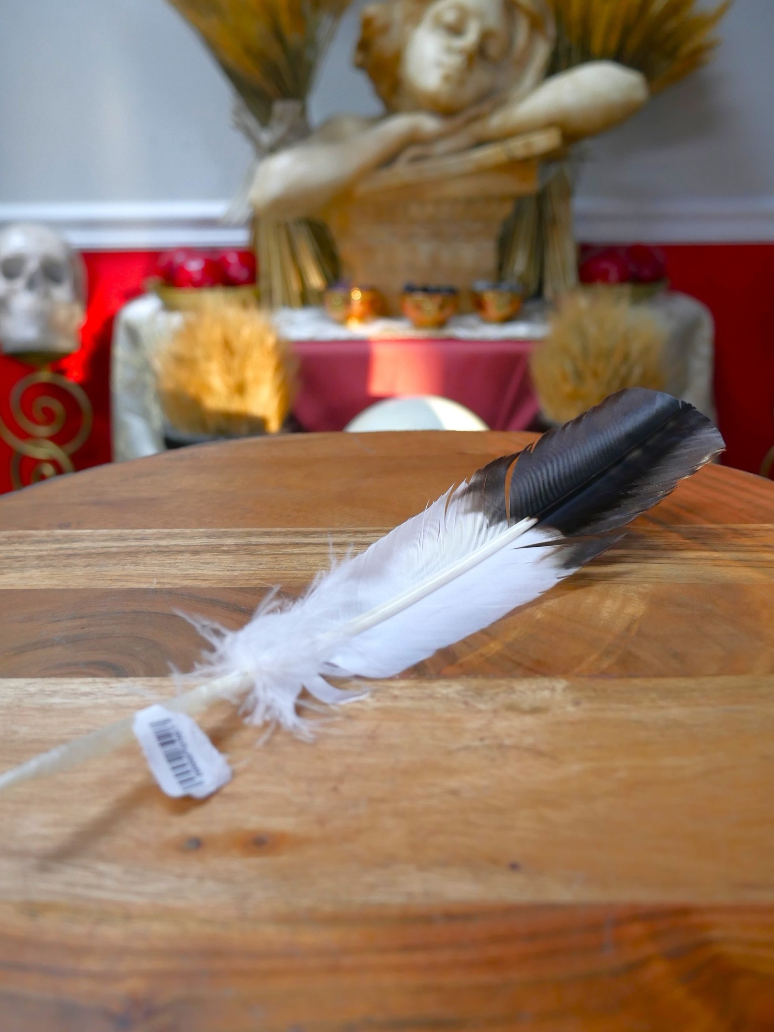 Smudging Eagle Feather