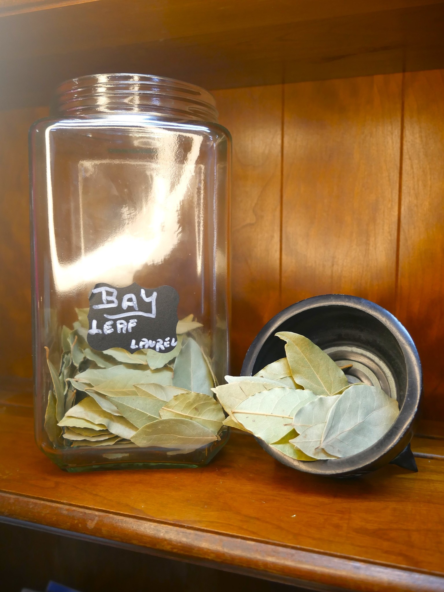 Bay Leaf (Hoja de Laurel) Herb