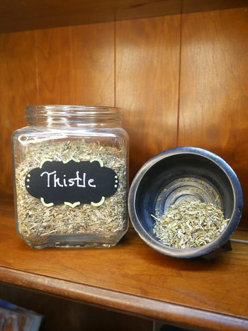 Thistle Herb C/S