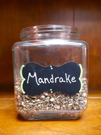 Mandrake Root Wildcrafted