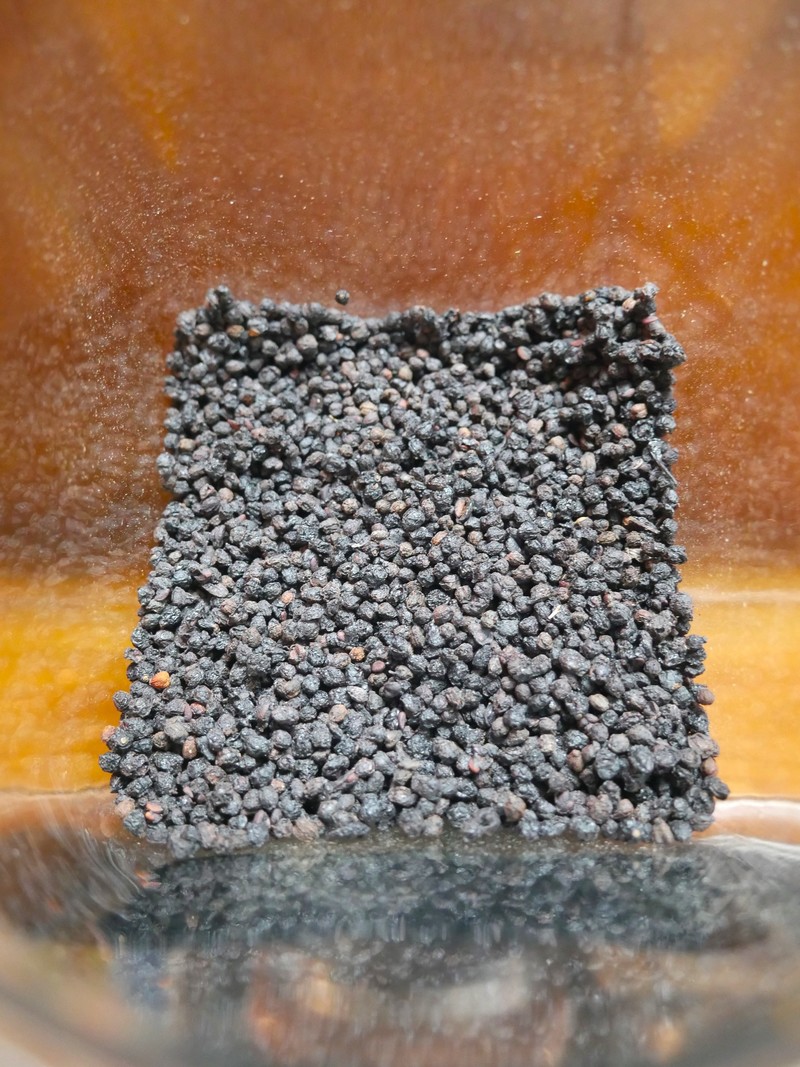 Elder Berries Whole