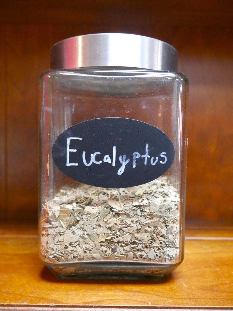 Eucalyptus Herb