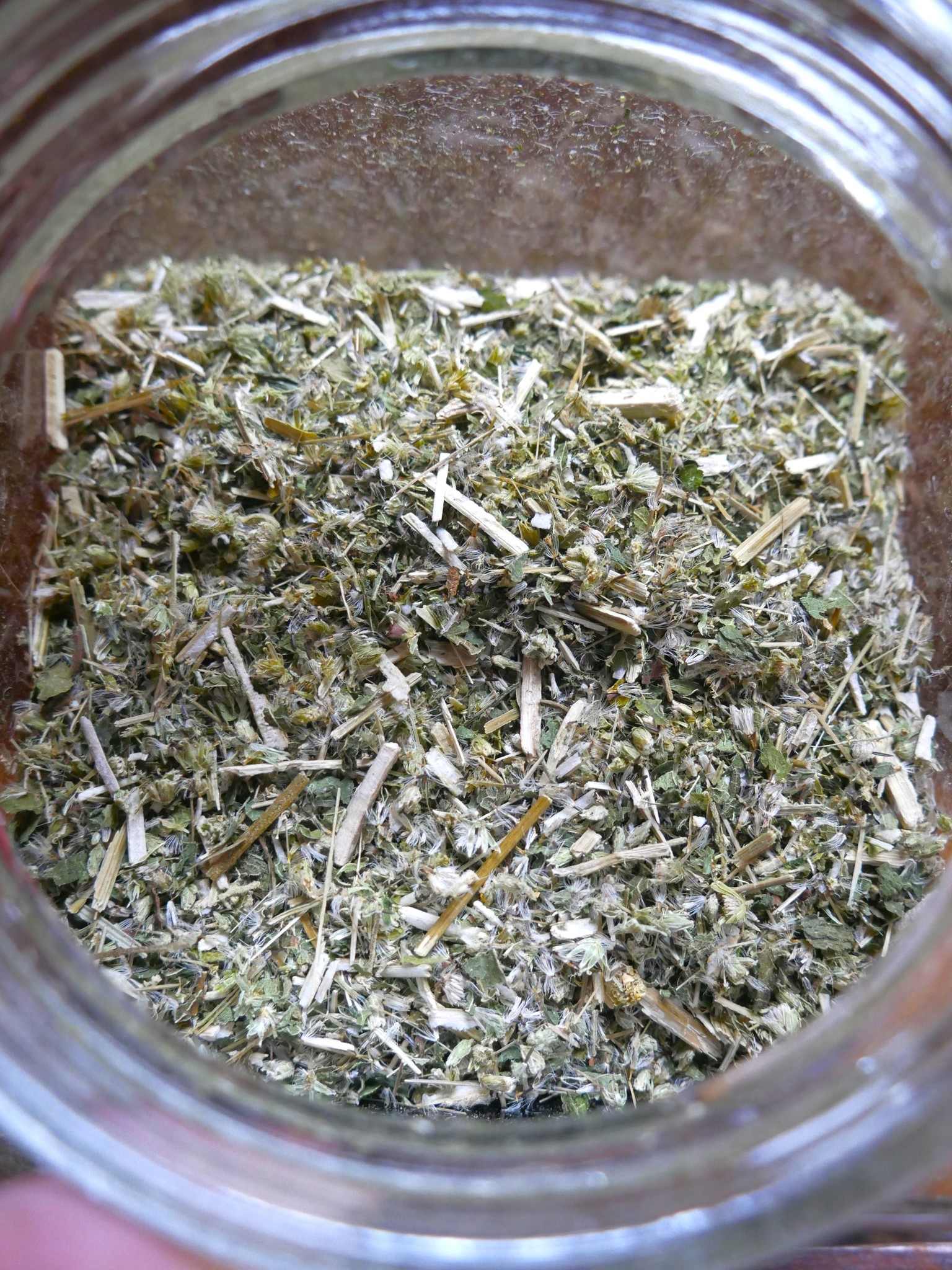 Boneset Herbs