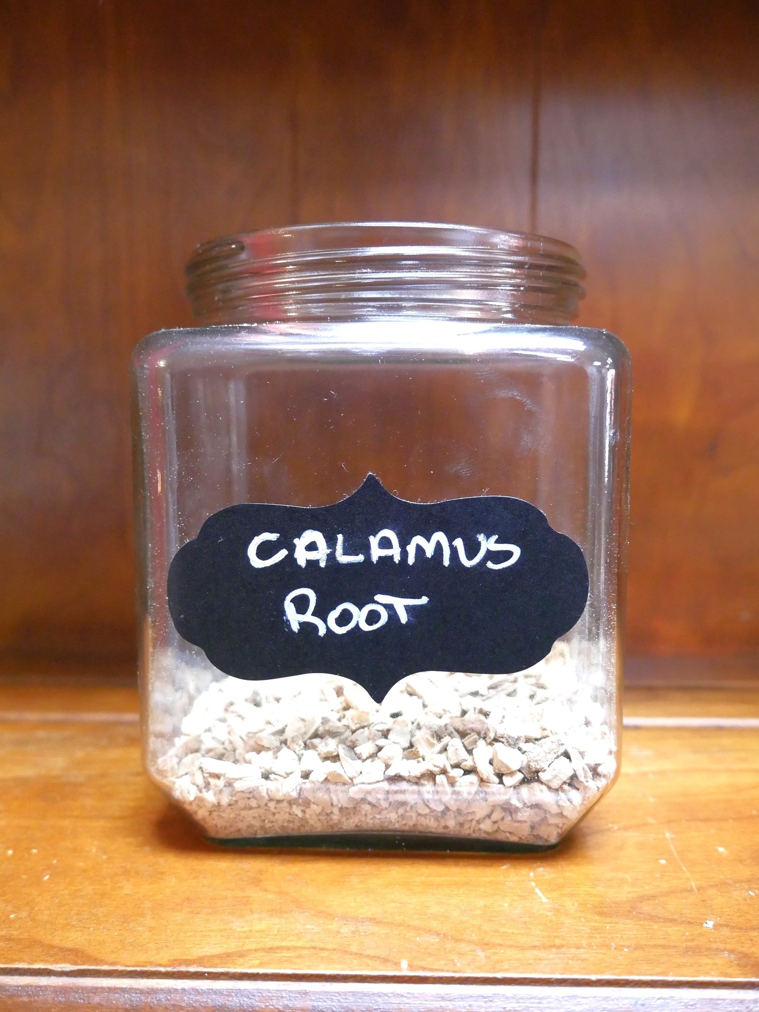 Calamus Root