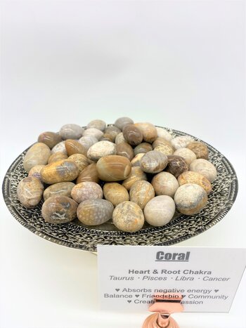 Coral Fossil Tumbled Stone
