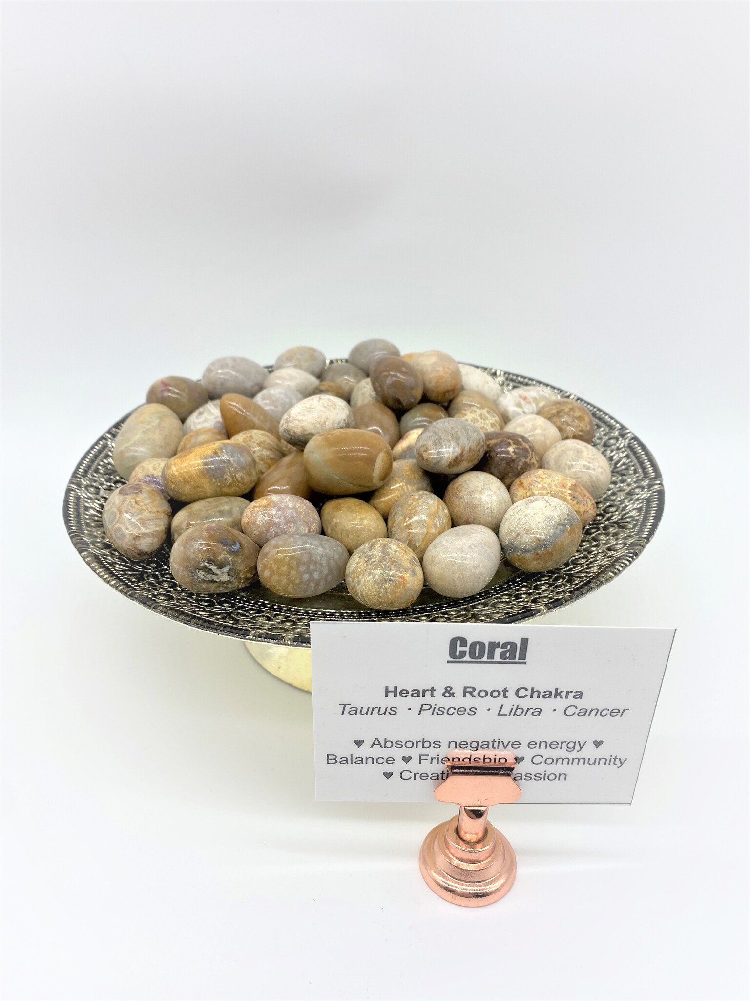 Coral Fossil Tumbled Stone
