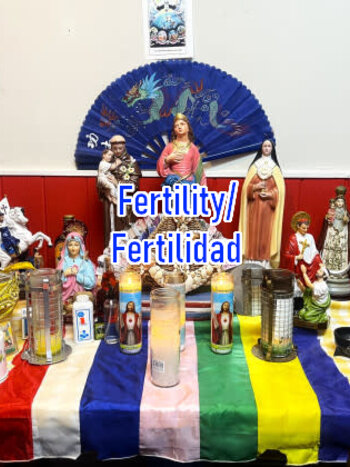 Fertility / Fertilidad