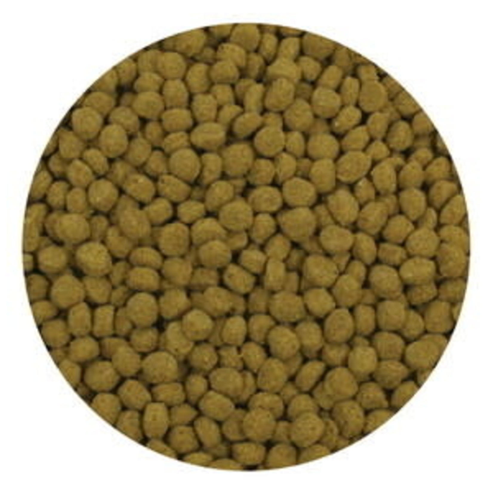 Aquascape Premium Staple Fish Food Pellets - Large Pellets - 4.4 lbs / 2 kg