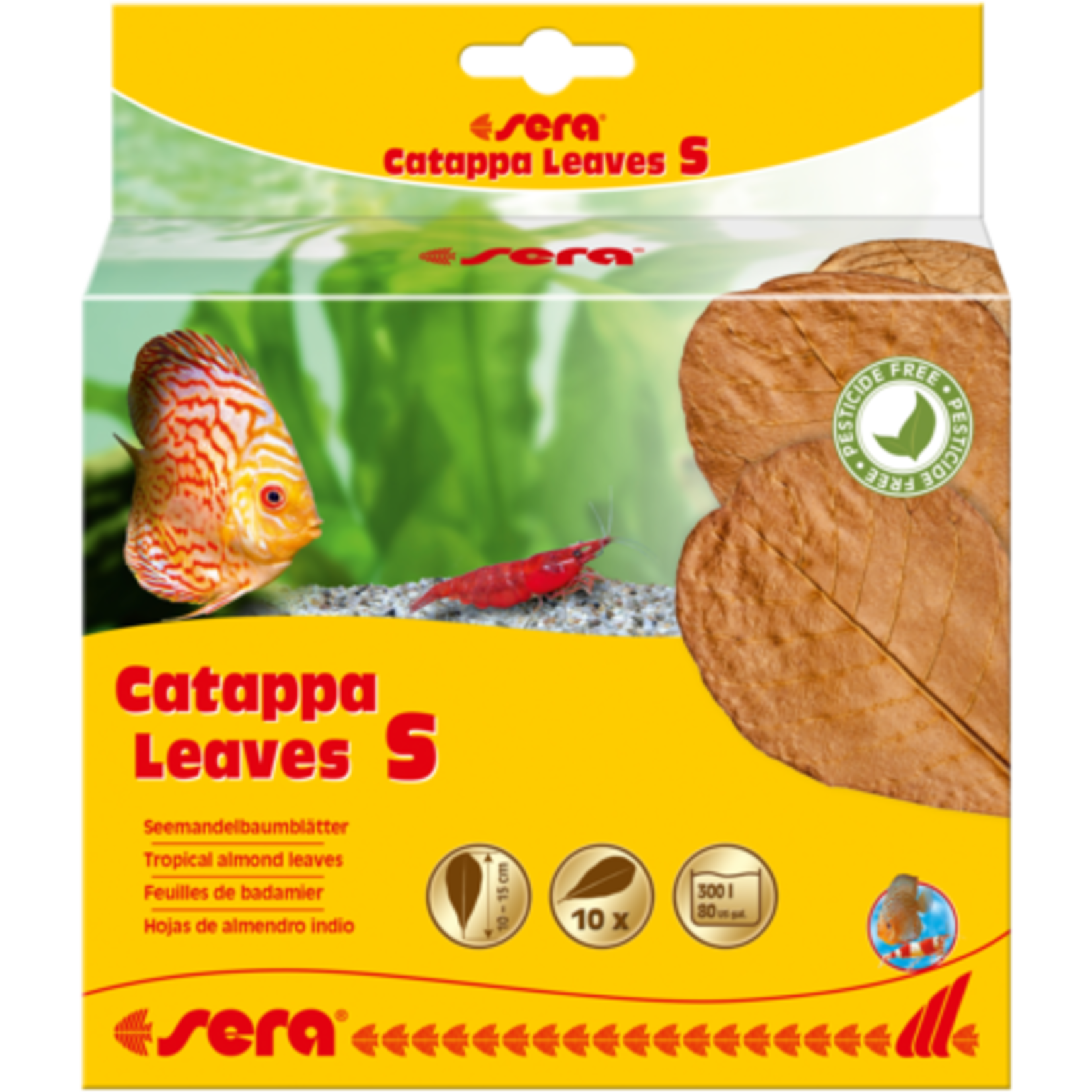 Sera Catappa Leaves Small - 10 pack