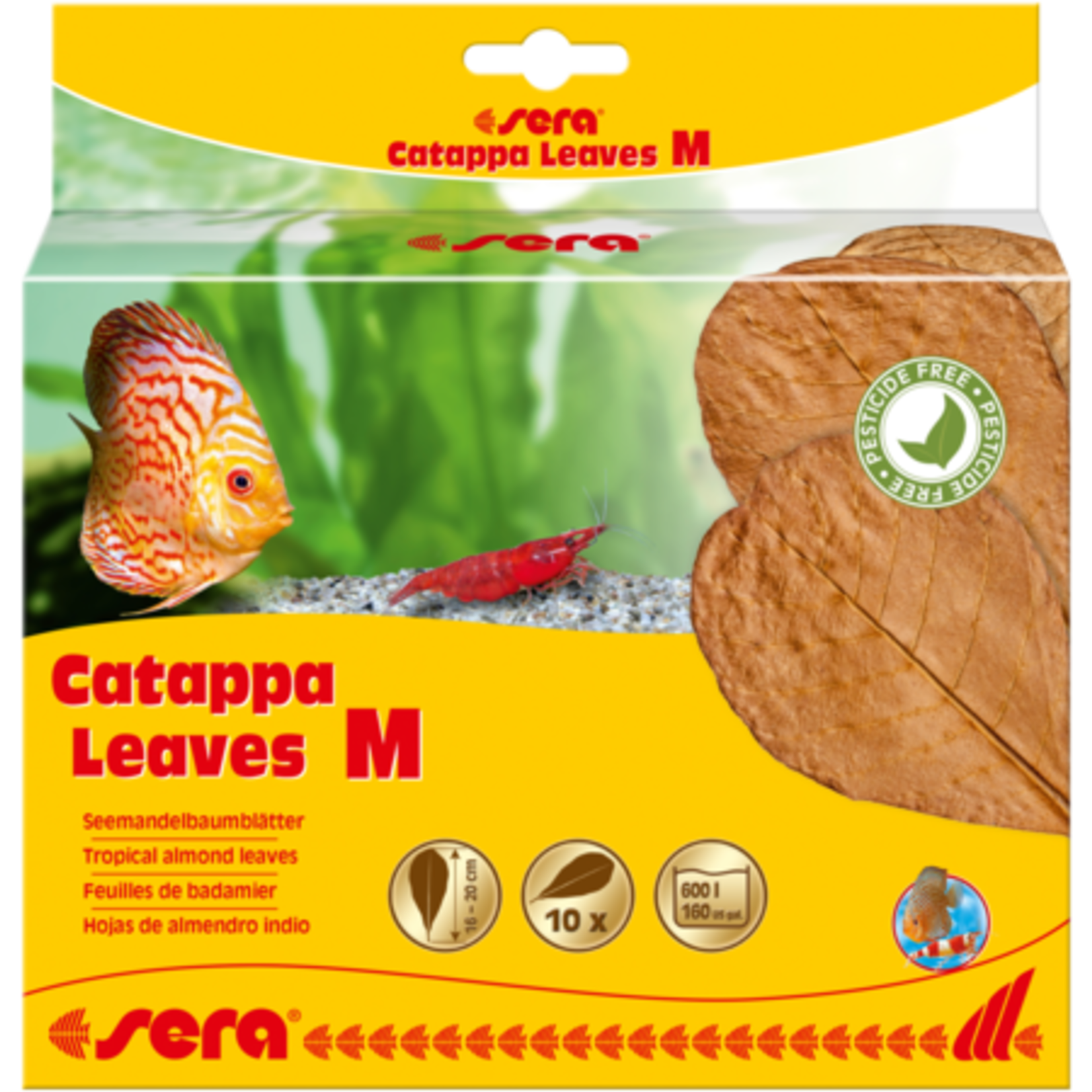 Sera Catappa Leaves Medium - 10 pack