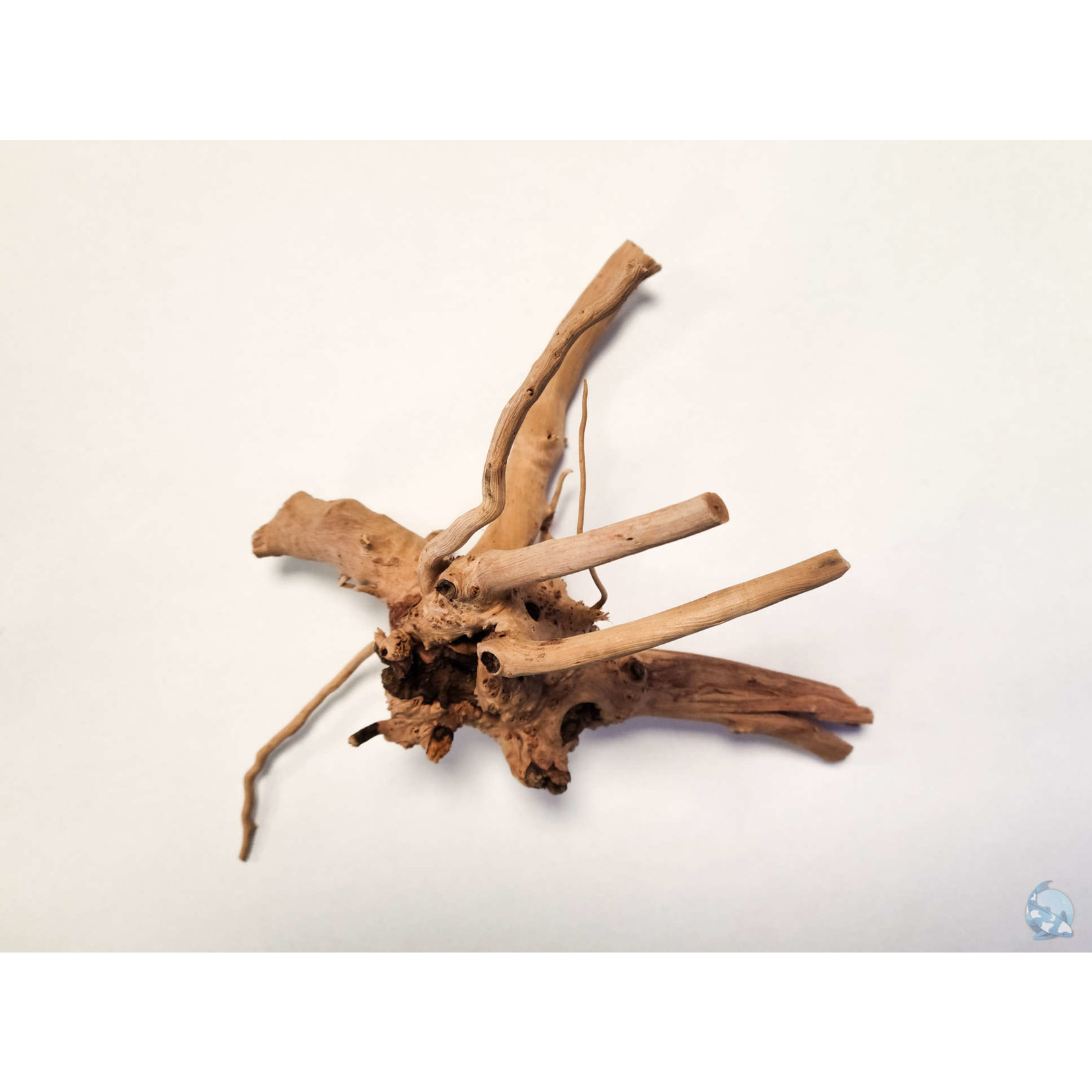 AquaGlobe Spider Wood Aquarium Wood - Small