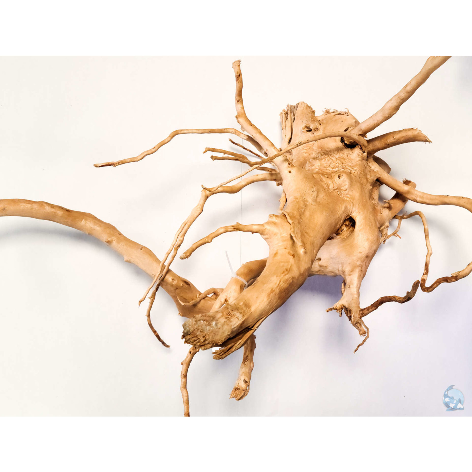 Spider Wood Driftwood – MarcusFishTanks