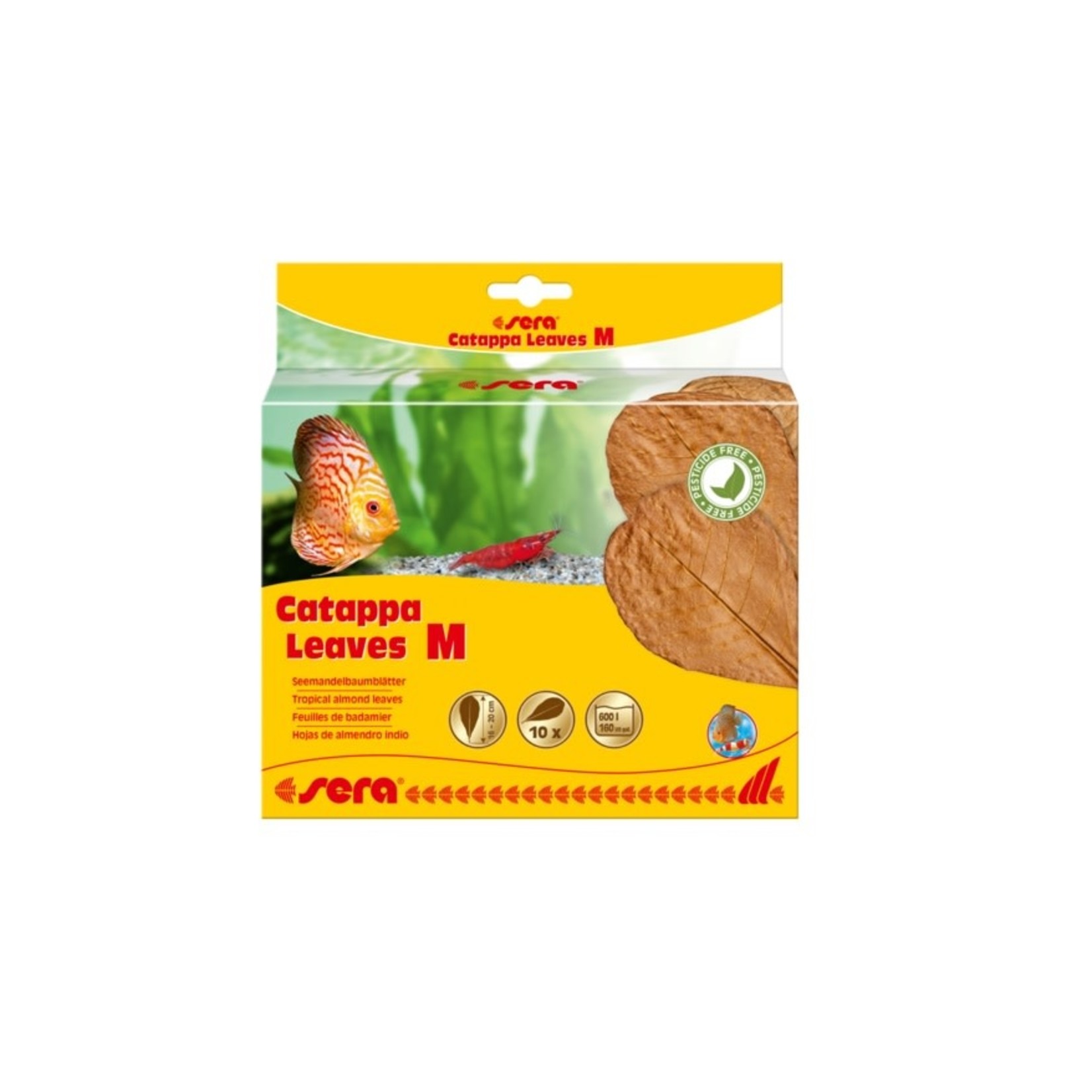 Sera Catappa Leaves Medium - 10 pack