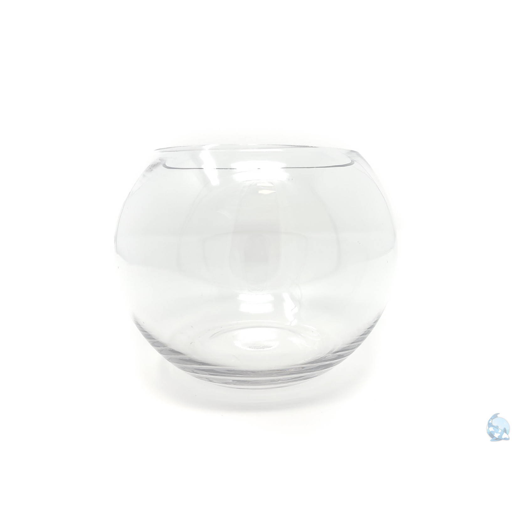 Nuterro Solutions Glass Bowl - 6 inch