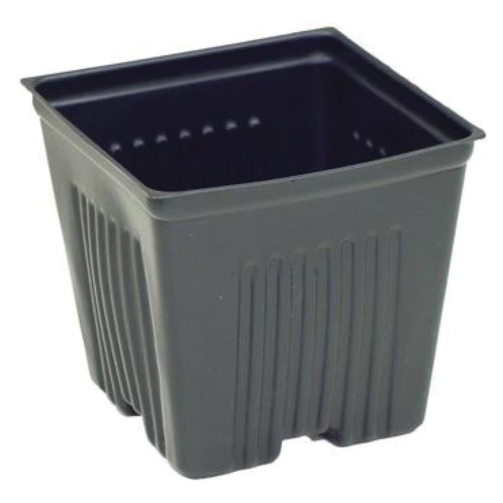 CY Growers Light Plastic Pot 3.5in Square