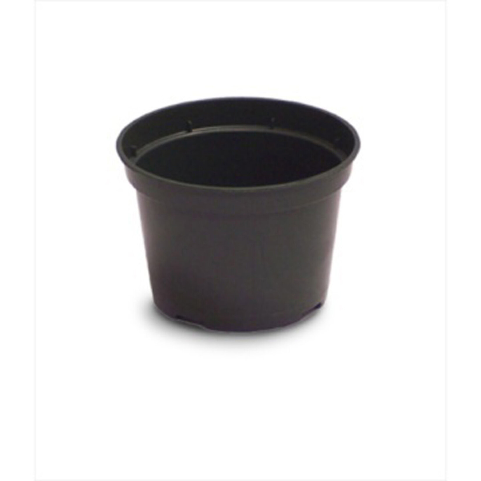 CY Growers 4in Azalea Elite Plastic Pot - Green