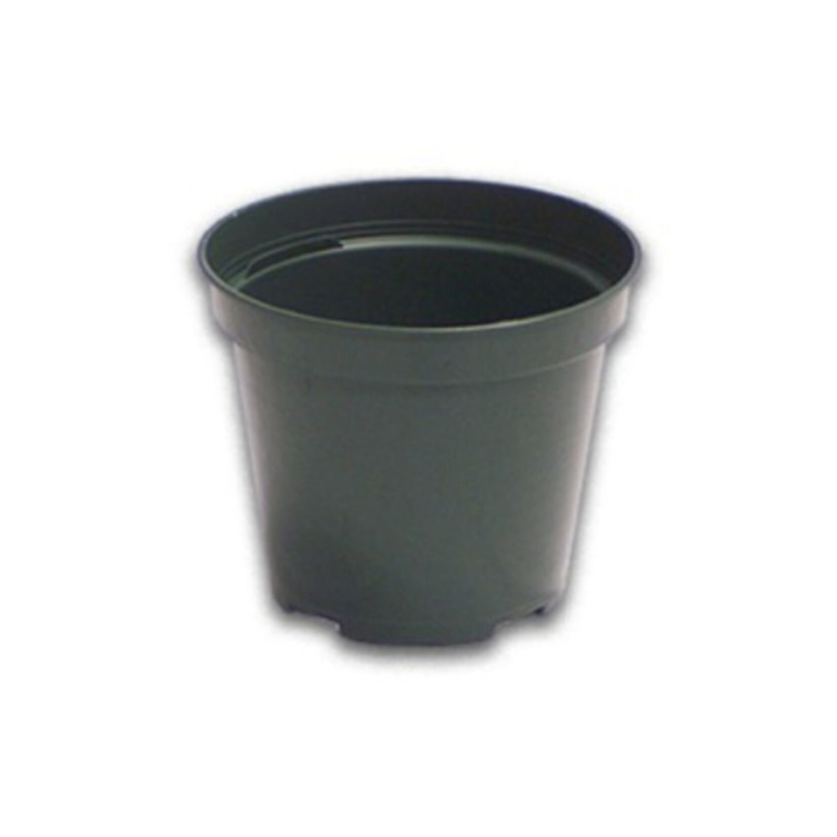 CY Growers 6in Standard Green Plastic Pot Regal