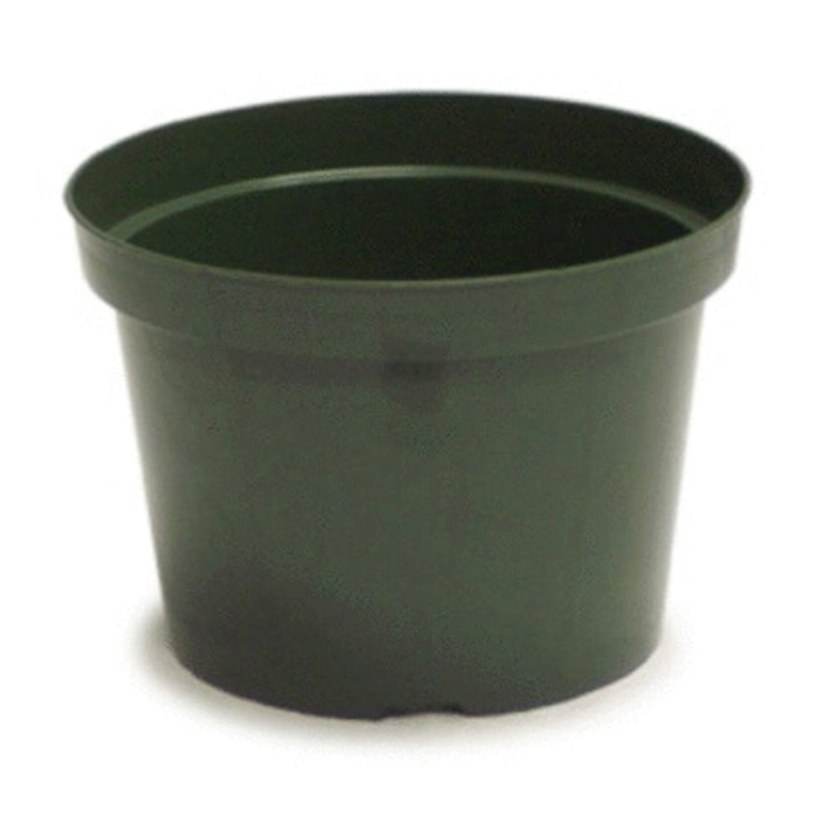 CY Growers 8in Azalea Elite Plastic Pot Green