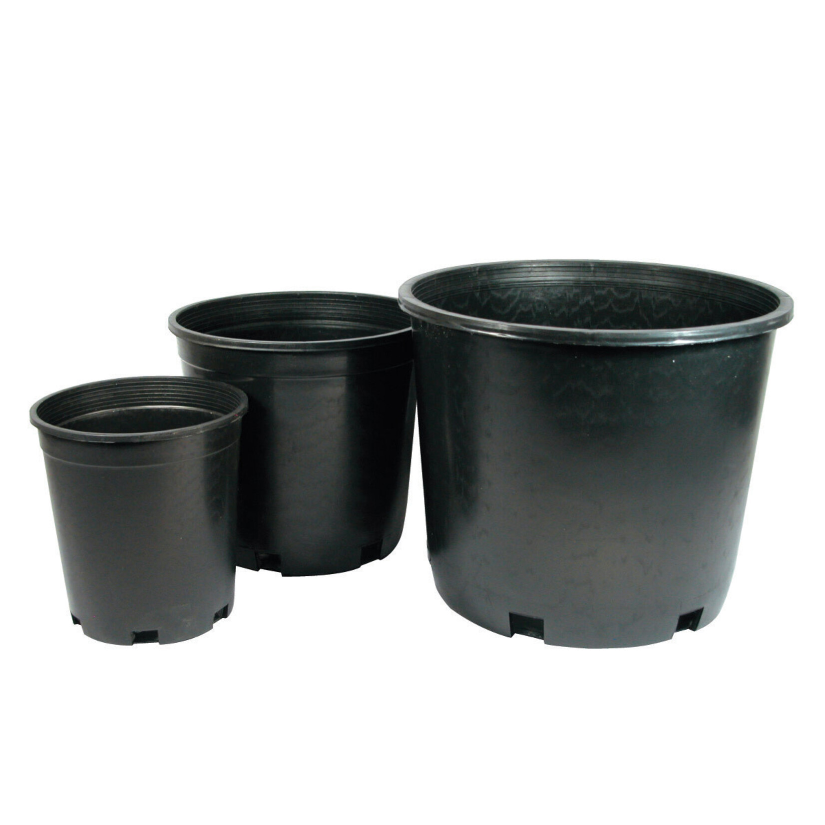 INP Nursery Pot Black - 1gal