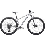 Specialized Rockhopper Expert 29 2023 in SATIN SILVER DUST  BLACK HOLOGRAPHIC