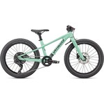 Specialized Riprock 20 2023 in GLOSS OASIS  BLACK