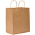 Brown Paper Bag with Handles 10"x 6.3/4"x12"