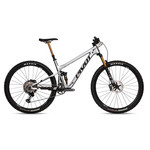 Pivot Cycles Trail 429 Pro XT 29" Carbon Wheels Silver