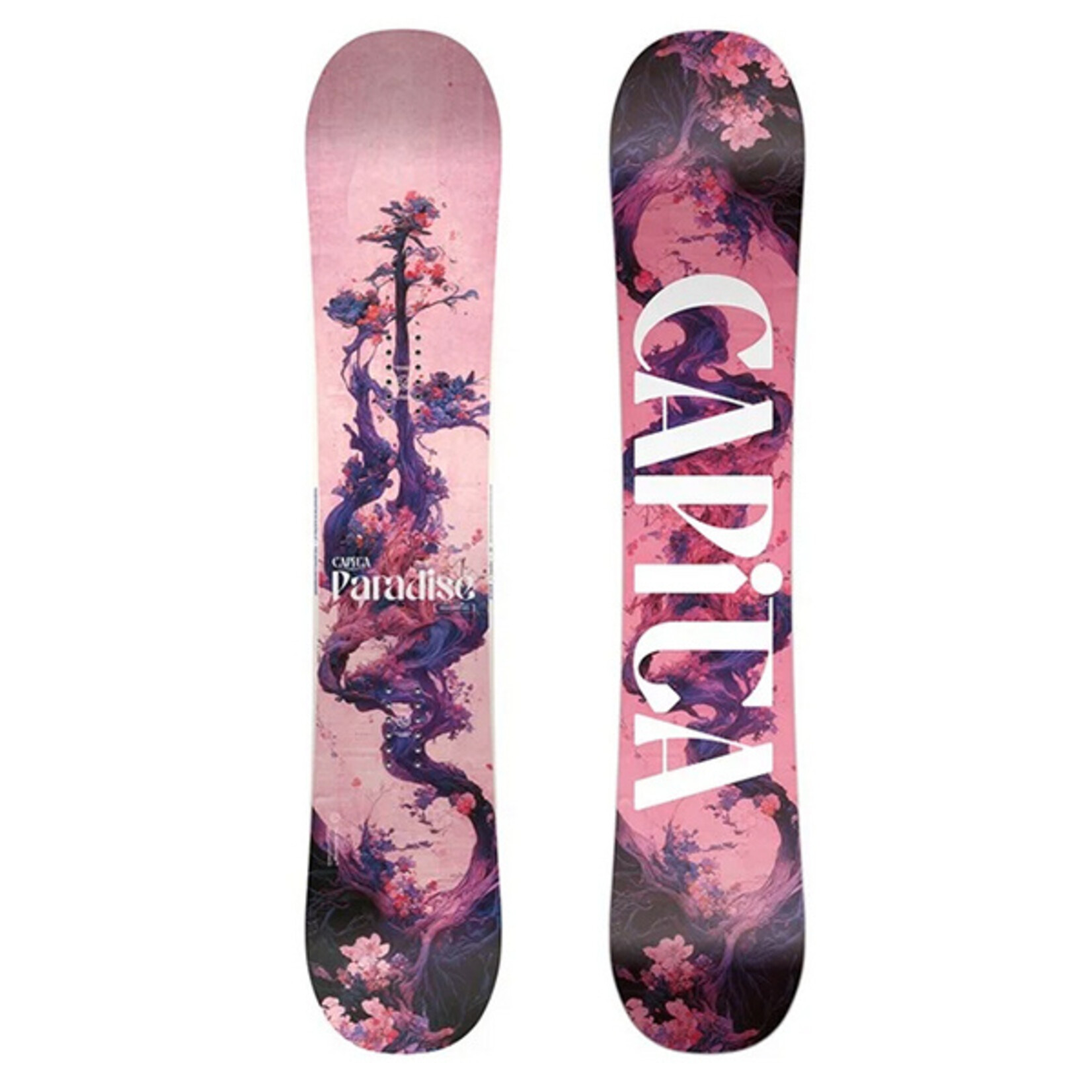 Capita 25' Paradise