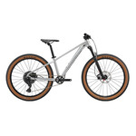 Giant STP 26"
