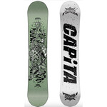 Capita 26' Dark Horse