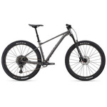 Giant Fathom 1 29"