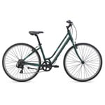 LIV Flourish 4