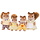 Chipmunk/Squirrel Family