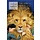 The Lion the Witch and the Wardrobe - Narnia by CS Lewis