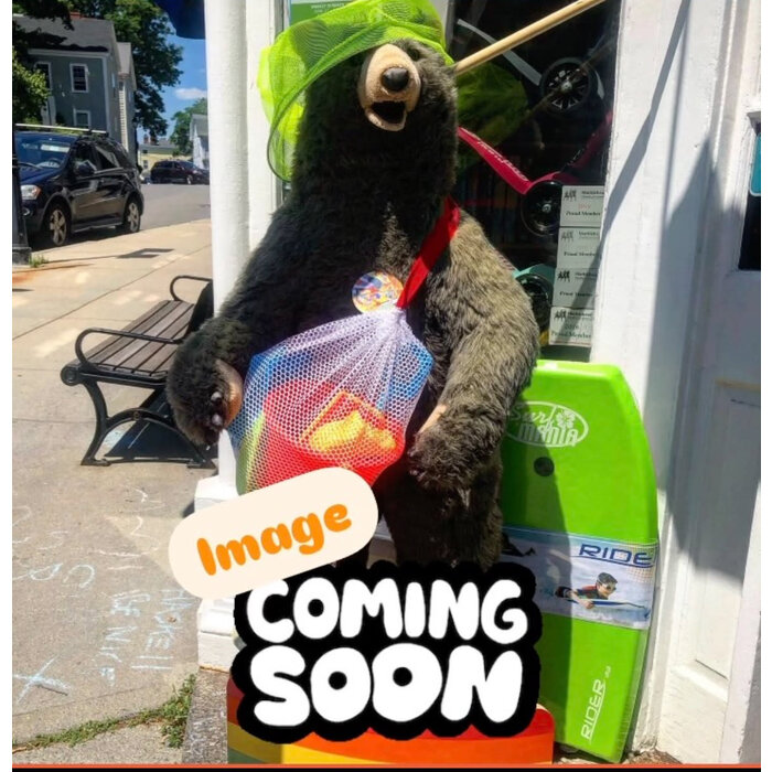 Peaceable Kingdom & Mindware EMPOWERMENT: YOU'RE AMAZING Greeting Card