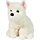 2006 Walt WESTIE PUPPY