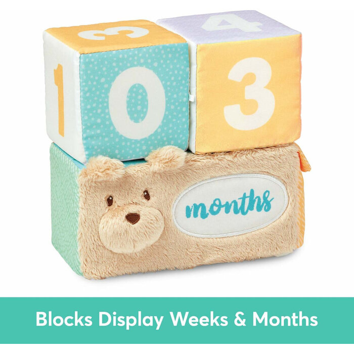 Gund Milestones and Moment Soft Block Set - New baby gift