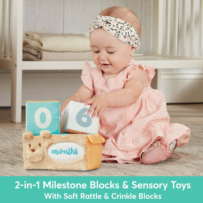 Gund Milestones and Moment Soft Block Set - New baby gift