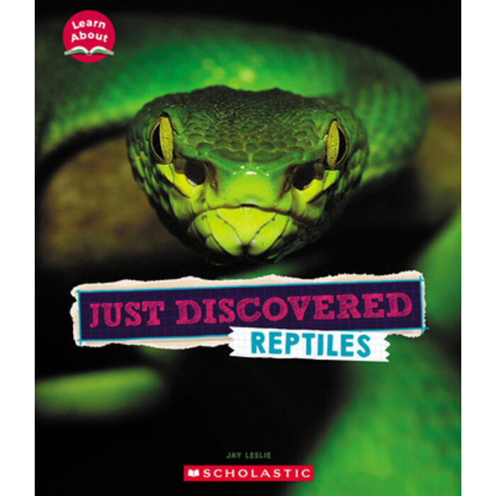 Scholastic Just Discovered Reptiles STEM Paperback
