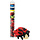 Tube - Ladybug 70pc