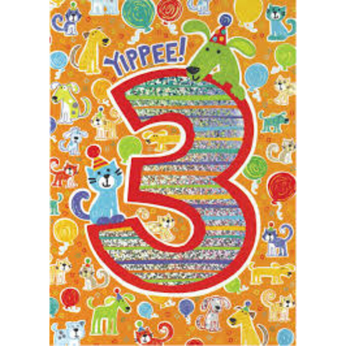 Peaceable Kingdom & Mindware Foil Pattern Age 3 Birthday Greeting Card