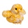 1516 Yellow Multi Chick