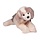 2416 RIVER DLUX GREAT PYRENEES