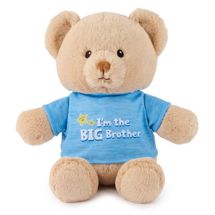 Gund I'm the Big Brother Bear, Blue, 12 in