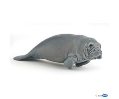 PAPO Manatee