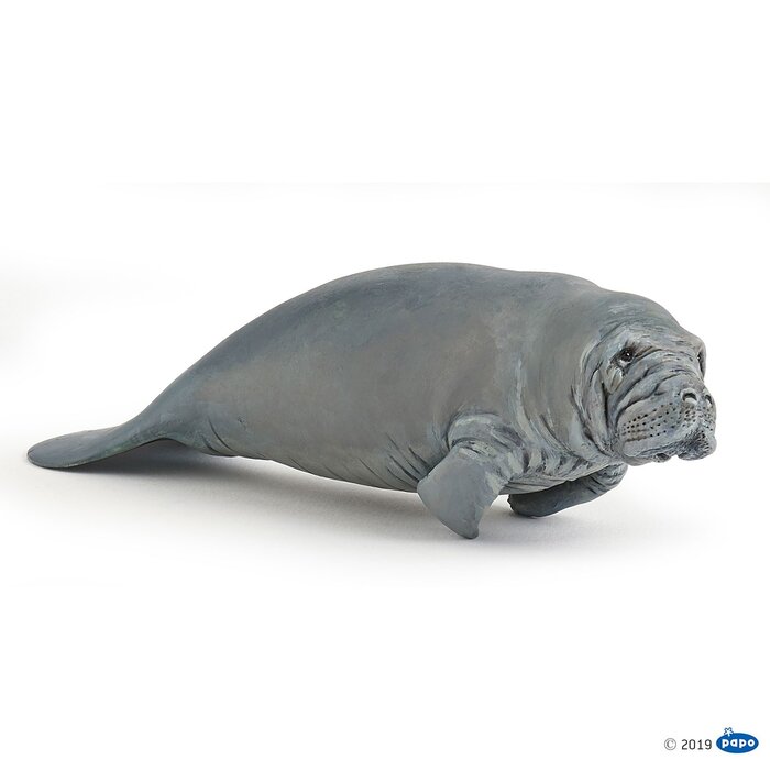 PAPO Manatee
