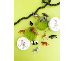 Earth Grown Kid Doughs Wild Animal Hidden Surprise KidDough - 4 oz